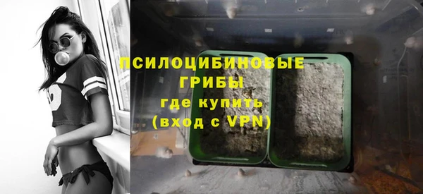 mdpv Алзамай