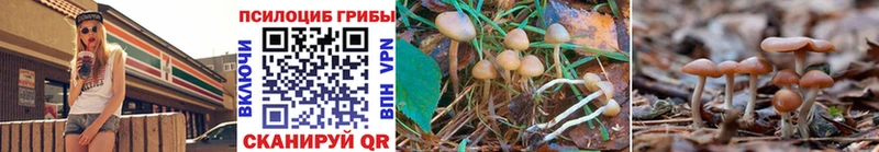 сайты даркнета официальный сайт Карабаш Псилоцибиновые грибы GOLDEN TEACHER